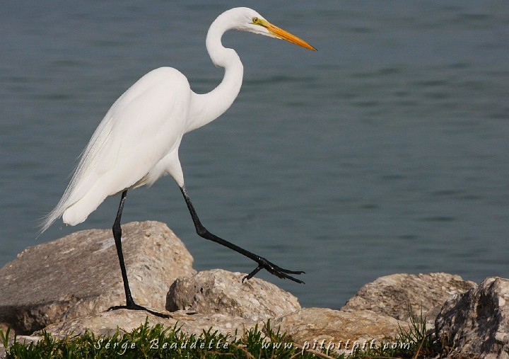 2009-01-04 14-49-03__MG_9823.JPG